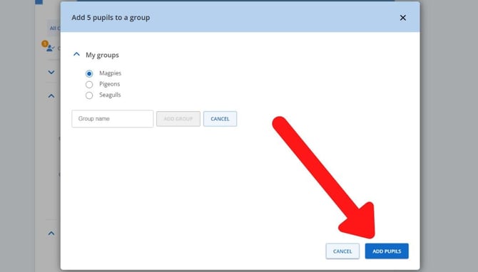 add pupils to group